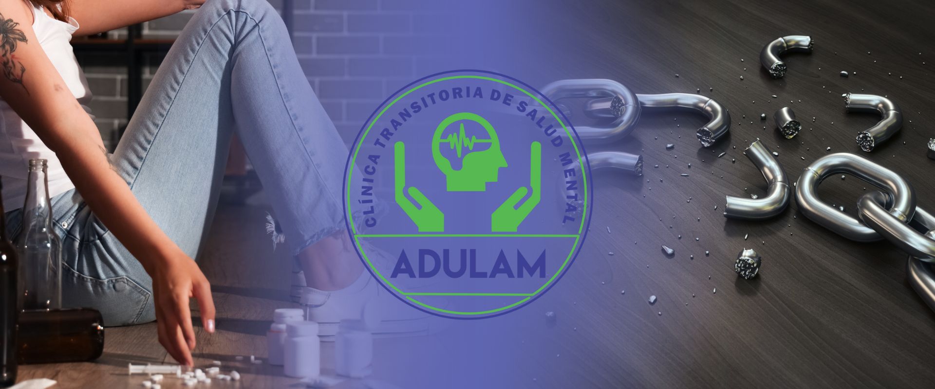 Banner Clásico Envíos Gratis Moderno Gris y Blanco(1)